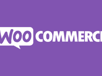 woocommerce.com-plugins-590x300-1