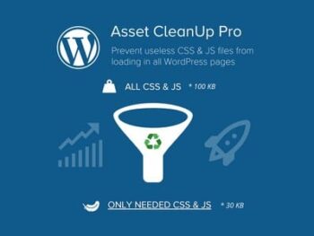 wp-asset-clean-up-pro